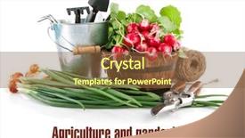  Presentation with garden tools - PPT theme consisting of fresh vegetables with garden tools background and a tawny brown colored foreground