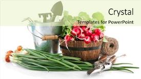  Presentation with garden tools - Cool new PPT layouts with fresh vegetables with garden tools backdrop and a soft green colored foreground