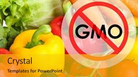  Presentation with gmo - PPT theme enhanced with fresh vegetables without gmo background and a gold colored foreground