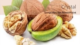  Presentation with green leaves - PPT theme enhanced with fresh-walnut-in-green-husk background and a coral colored foreground