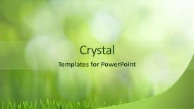  Presentation with focus - Slide deck enhanced with fresh water - natural green background with selective background and a mint green colored foreground