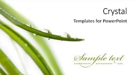  Presentation with fresh water - Slides with fresh water drops on green background and a white colored foreground