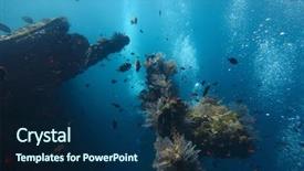  Presentation with liberty - Presentation theme having fresh water fish - shipwreck usat liberty tulamben indonesia background and a navy blue colored foreground