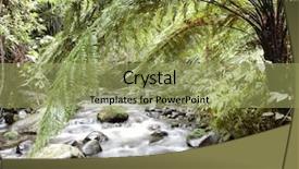  Presentation with forest stream - Presentation theme with fresh water stream flowing background and a  colored foreground