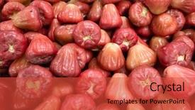  Presentation with wax - Colorful slide set enhanced with fresh wax apple fruit stack backdrop and a  colored foreground