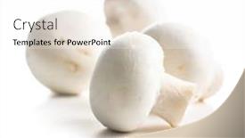  Presentation with mushrooms - Colorful slide set enhanced with fresh-white-champignon-mushrooms-isolated backdrop and a white colored foreground