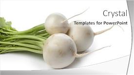  Presentation with white - Slides having fresh-white-round-daikon-radish background and a white colored foreground
