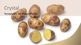  Presentation with mayan - 