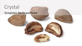  Presentation with brazil - Presentation design having fresh-whole-and-peeled-brazil background and a light gray colored foreground