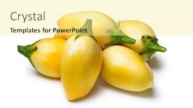  Presentation with yellow - Beautiful PPT layouts featuring fresh-whole-yellow-mini-eggplants backdrop and a blonde colored foreground