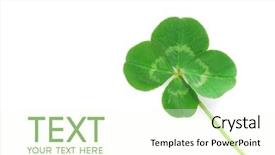  Presentation with clover - Audience pleasing presentation consisting of fresh wild lucky clover isolated backdrop and a cream colored foreground