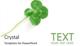  Presentation with clover - Presentation theme featuring fresh wild lucky clover isolated background and a white colored foreground