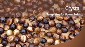  Presentation with banda - Beautiful presentation theme featuring fresh wild nutmeg drying backdrop and a tawny brown colored foreground