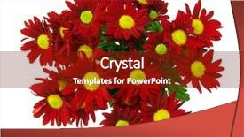  Presentation with wild flower - Audience pleasing presentation theme consisting of fresh wild red flower backdrop and a tawny brown colored foreground