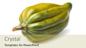  Presentation with orange green white - PPT theme featuring fresh-with-green-and-orange background and a yellow colored foreground