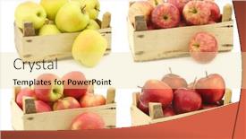  Presentation with apple - Presentation theme consisting of fresh-yellow-apples-sweet background and a blonde colored foreground