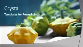  Presentation with yellow - Audience pleasing slides consisting of fresh-yellow-pattypan-squash backdrop and a ocean colored foreground