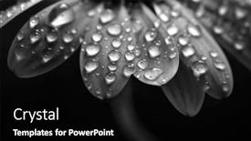  Presentation with spring water - 