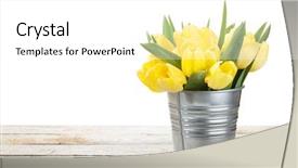  Presentation with tulip - Colorful PPT theme enhanced with fresh yellow tulips bouquet backdrop and a white colored foreground