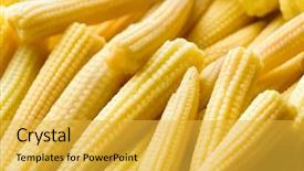  Presentation with corn - PPT layouts consisting of fresh young baby corn closeup background and a yellow colored foreground