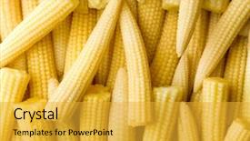  Presentation with sweet corn - Amazing theme having fresh young baby corn backdrop and a yellow colored foreground