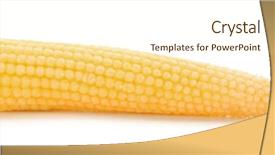  Presentation with sweet corn - Presentation enhanced with fresh young baby corn background and a cream colored foreground