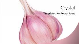  Presentation with garlic - Audience pleasing PPT theme consisting of fresh young garlic isolated backdrop and a white colored foreground