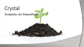  Presentation with new christian life - Slides featuring fresh young plant - new life background and a  colored foreground