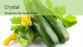  Presentation with green fresh food - Beautiful presentation featuring fresh zucchini with green leaf backdrop and a  colored foreground