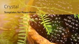  Presentation with rustic nutrition - Audience pleasing slide deck consisting of freshly-assorted-berries-in-wooden backdrop and a gold colored foreground