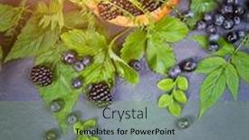  Presentation with rustic nutrition - Cool new PPT layouts with freshly-assorted-berries-in-wooden backdrop and a seafoam green colored foreground