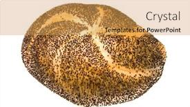  Presentation with poppy - Beautiful slide set featuring freshly-baked-kaiser-roll backdrop and a yellow colored foreground