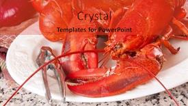  Presentation with granite - Beautiful presentation theme featuring wild water monitor crawling near the swamp hunting for a prey backdrop and a violet colored foreground