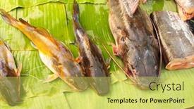  Presentation with catfish - Cool new slides with freshly caught catfish on palm leaf in a morning fish market luang prabang laos backdrop and a yellow colored foreground