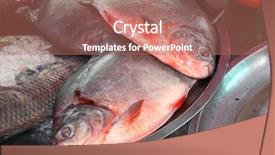  Presentation with catfish - Slides having freshly caught catfish on palm background and a coral colored foreground