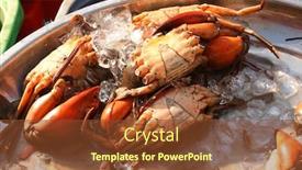  Presentation with crab - Slides enhanced with freshly caught crab in ice background and a tawny brown colored foreground