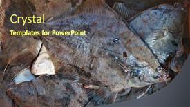  Presentation with fish - PPT layouts featuring freshly-caught-fish-flounder-plaice background and a tawny brown colored foreground
