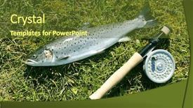  Presentation with trout - Cool new PPT theme with freshly caught trout lying on the riverbank with fishing rod backdrop and a tawny brown colored foreground
