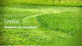  Presentation with green grass texture in soccer - Audience pleasing theme consisting of freshly cut green lawn grass various sizes backdrop and a shamrock green colored foreground