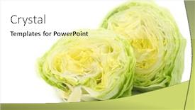 Presentation with iceberg - Beautiful PPT theme featuring freshly cut halves of iceberg lettuce on a white background backdrop and a white colored foreground
