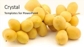  Presentation with phoenix - PPT theme with freshly harvested branch with dates background and a blonde colored foreground