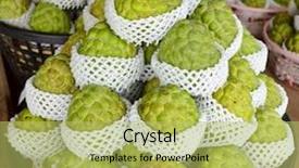  Presentation with taiwan - Colorful PPT layouts enhanced with freshly harvested custard apples backdrop and a  colored foreground