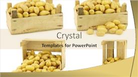  Presentation with dutch - Slide deck featuring freshly-harvested-dutch-seed-potatoes background and a yellow colored foreground