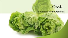 Presentation with fresh lettuce strawberries blueberries mushroom - PPT theme featuring freshly harvested green little gem lettuce on a white background background and a yellow colored foreground