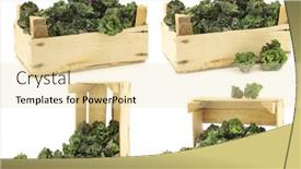  Presentation with wooden - PPT layouts featuring freshly-harvested-kale-sprouts background and a lemonade colored foreground