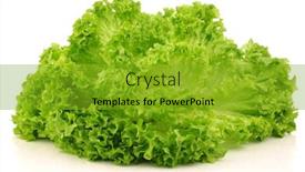  Presentation with lettuce - Amazing slides having freshly-harvested-lollo-bionda-lettuce backdrop and a gold colored foreground