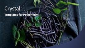  Presentation with french beans - Theme with freshly-harvested-purple-french-beans background and a tawny brown colored foreground