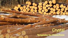  Presentation with pine - Colorful PPT theme enhanced with freshly harvested scots pine pinus sylvestris trunks on a stack backdrop and a tawny brown colored foreground