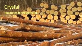  Presentation with pine - PPT theme with freshly harvested scots pine pinus sylvestris trunks on a stack background and a tawny brown colored foreground