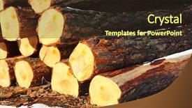  Presentation with environmental - Presentation design with freshly harvested scots pine pinus sylvestris logs on a stack environmental background background and a wine colored foreground